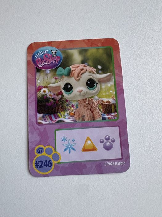 Sprzedam lps owieczkę