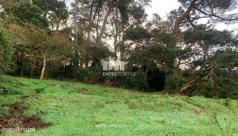 Terreno com vista mar para venda, moledo, Caminha
