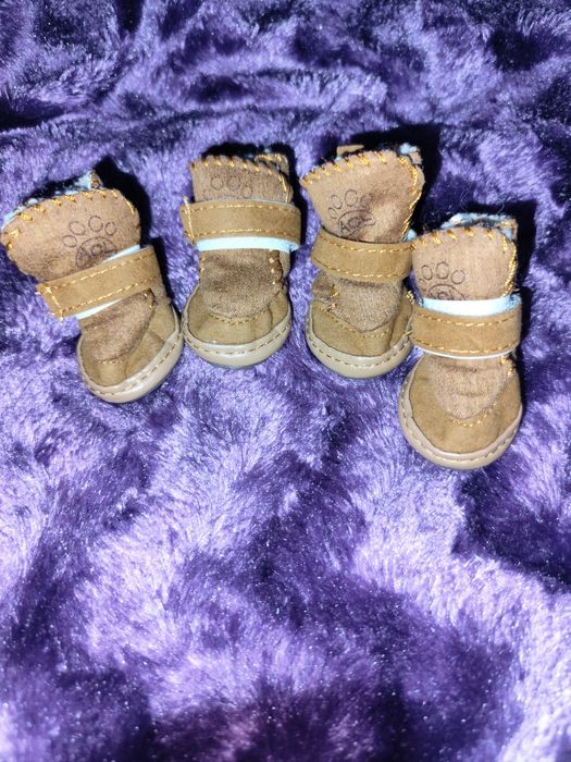 Взуття для собачки