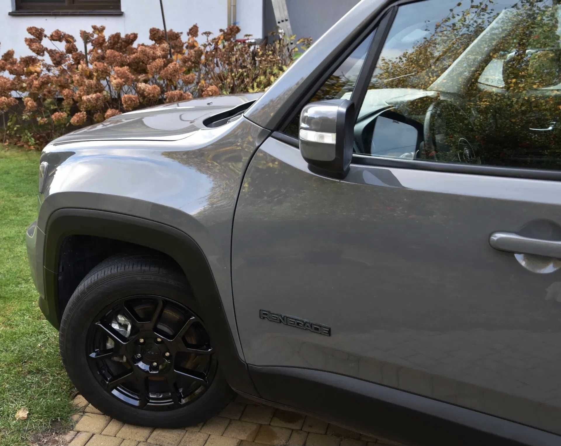 2019 Jeep Renegade 2.4л