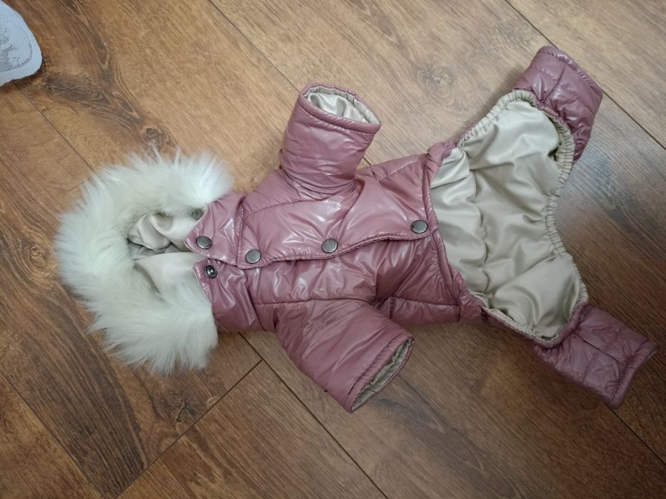 Комбінезон для песика