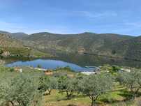 Terreno agrícola com 26.080 m2 na Congida