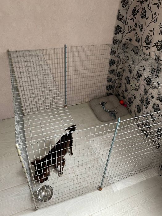 Вольєр(манеж,клітка) для тварин