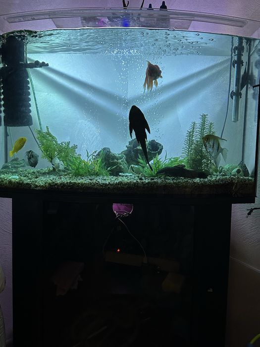 Продам аквариум 120 литров