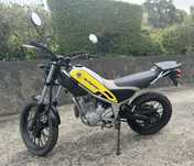 Yamaha Tricker XG 250