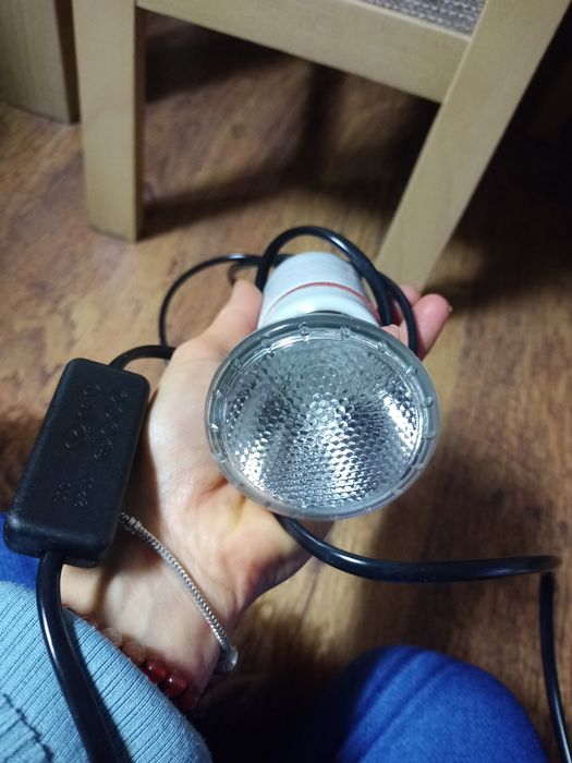Lampa grzewcza 50 w, halogen z przedluzka, zasilacz, oprawka ceramiczn