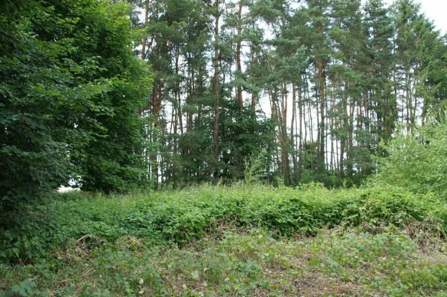 Sprzedam działkę w Gronowie Górnym