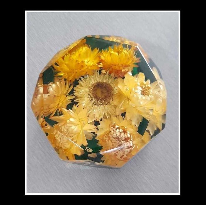 Pisa Papéis PP2 (em Resina)