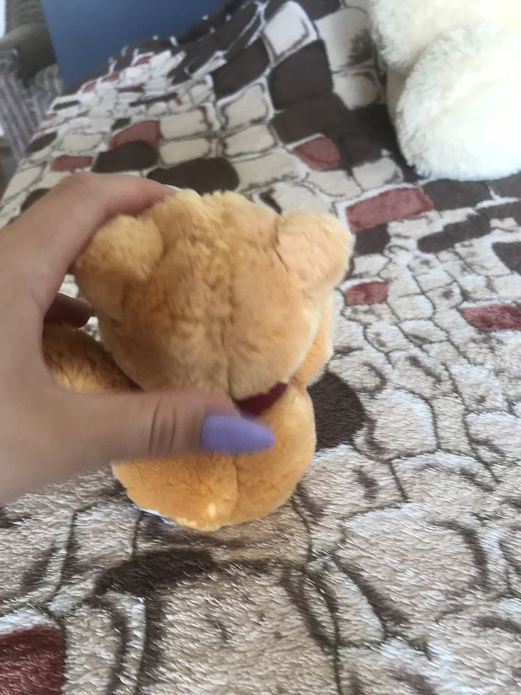 Плюшевый мишка