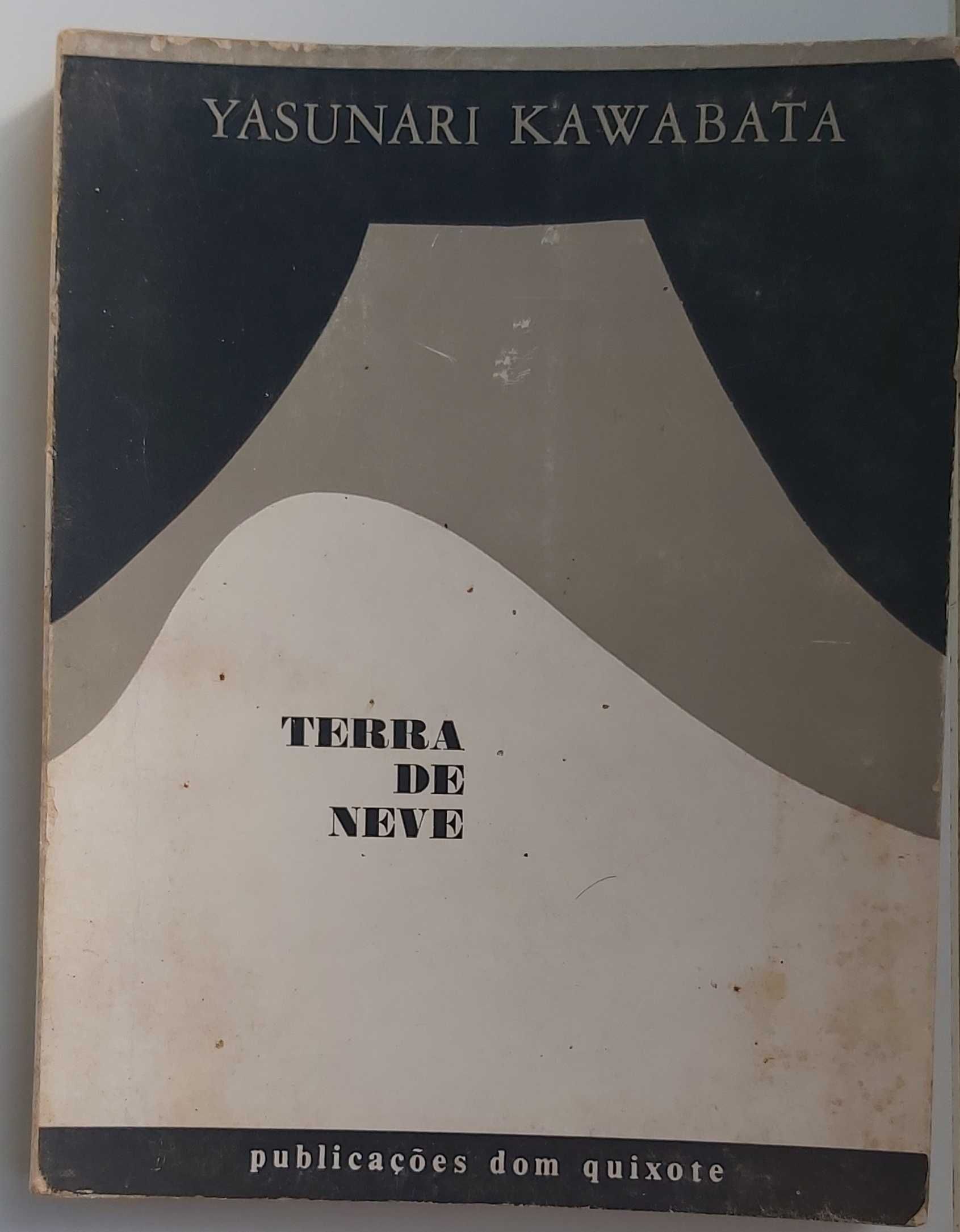 Terra de Neve - Yasunari Kawabata [Prémio Nobel da literatura 1968)