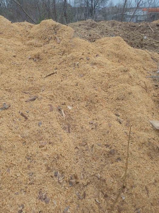 Щепа, відсів, стружка, тирса, опілки соснові