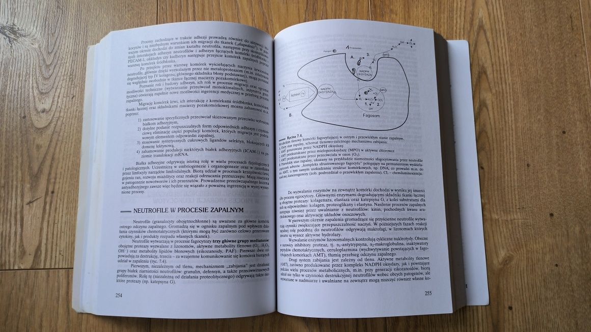 Książka, Podręcznik Patofizjologia Sławomir Maśliński Tom 1