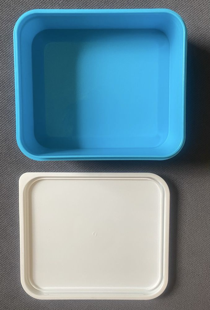 Lunchbox dinozaur