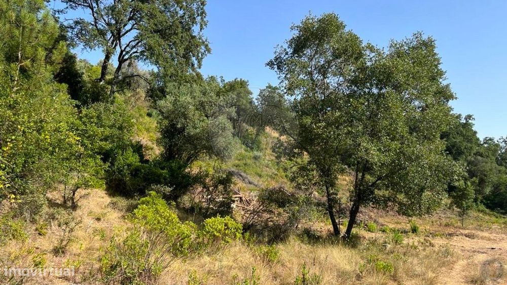 Terreno  para venda