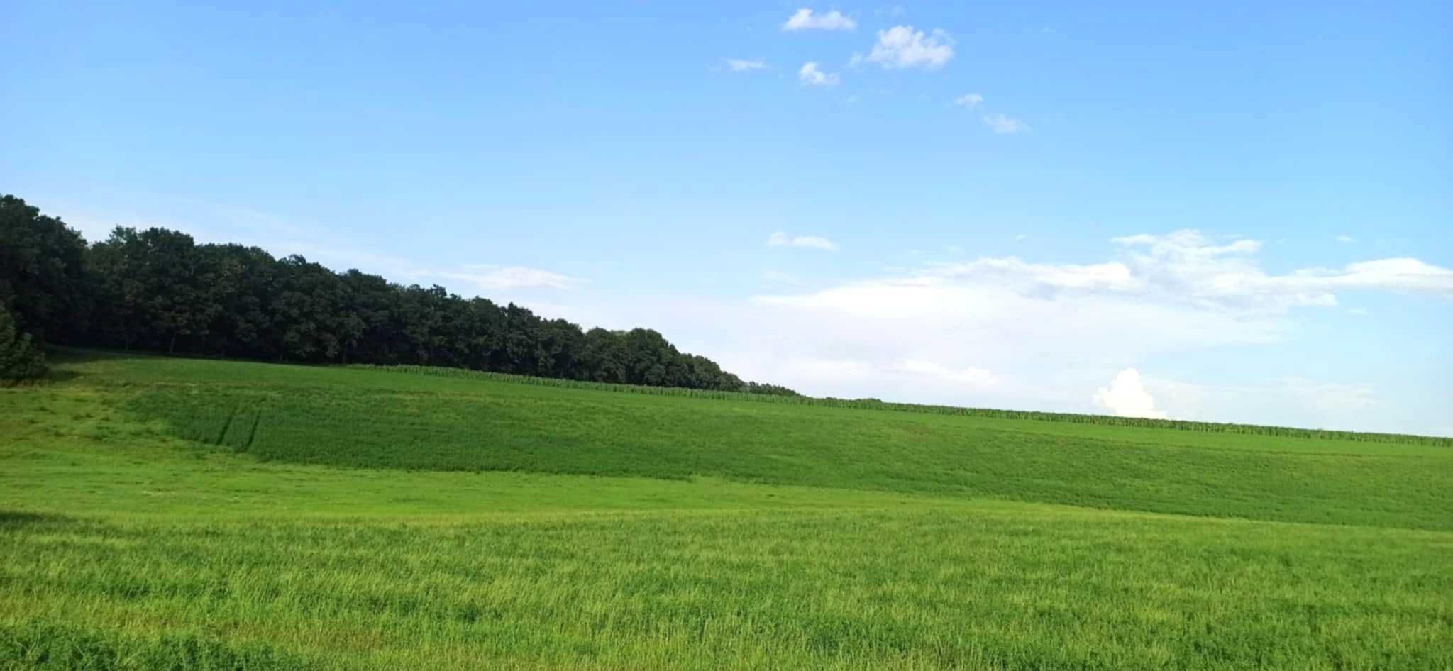 Działka w Zamku Bierzgłowskim 1,46 ha