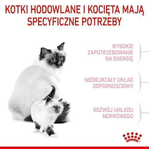 Karma sucha dla kociąt, kotek w ciąży i karmiących - Royal Canin 4kg