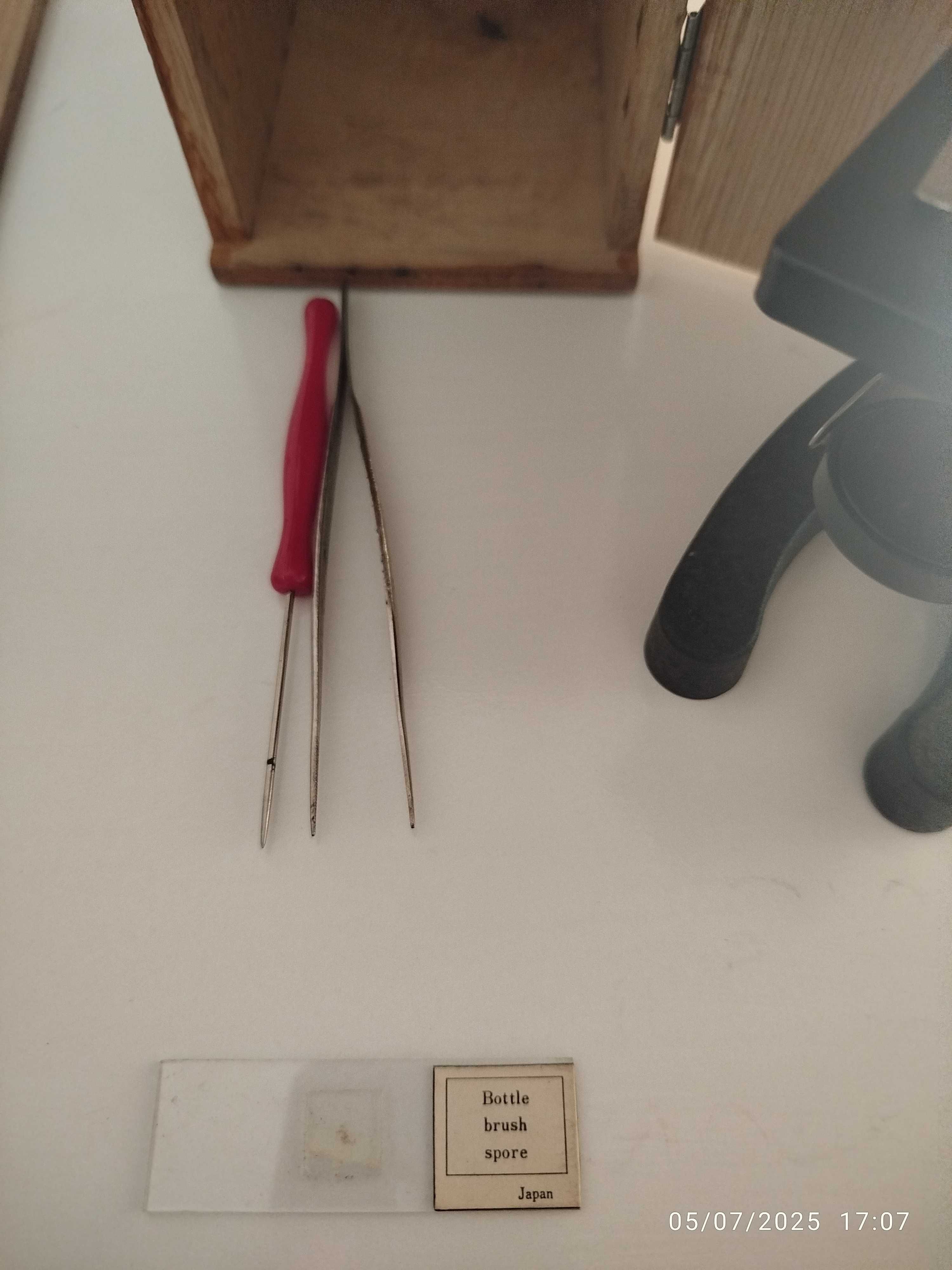 Microscópio Antigo Japonês impecável