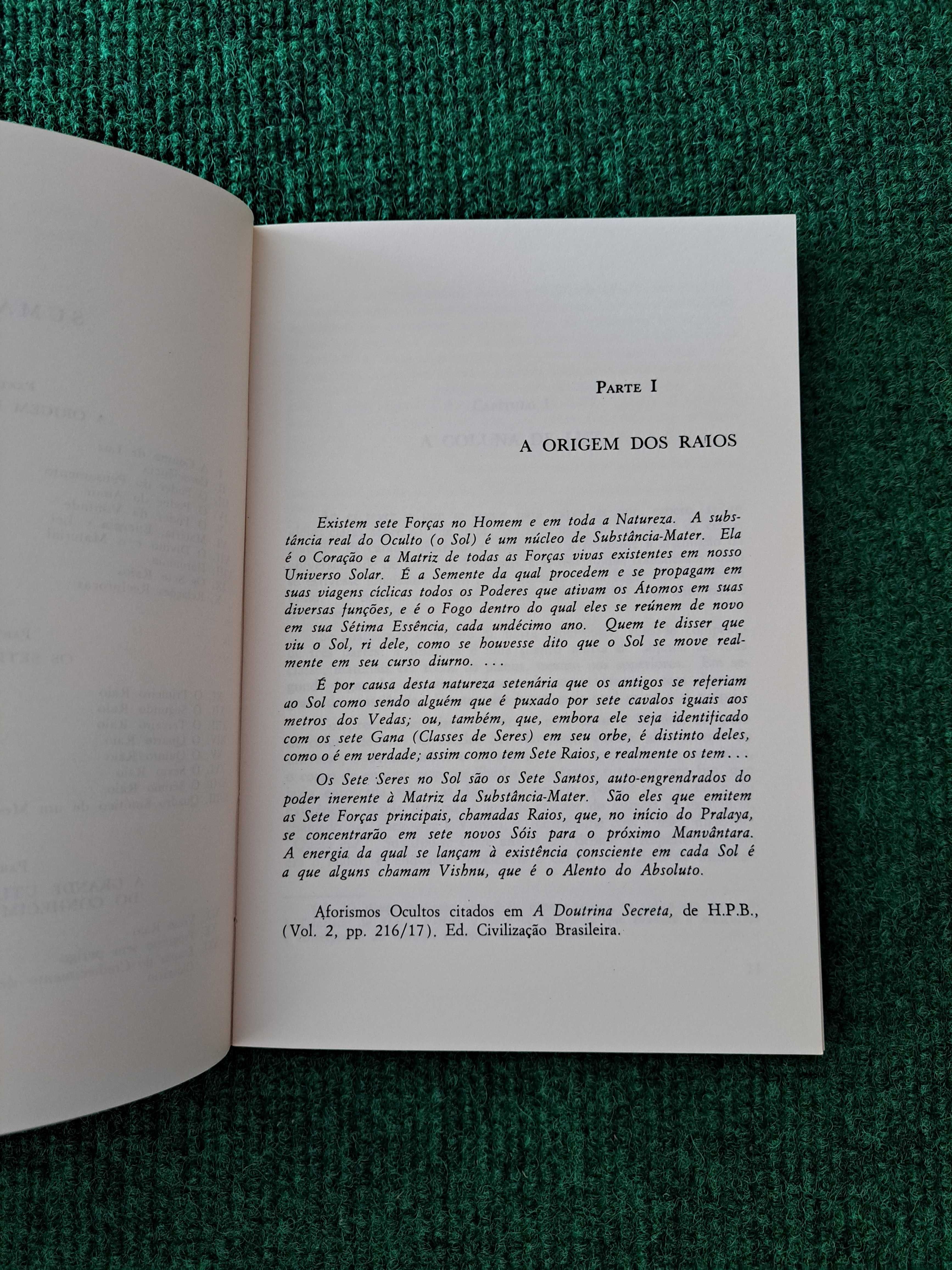 Os Sete Raios - Ernest Wood