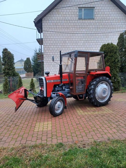 Sprzedam Massey Feguson 255