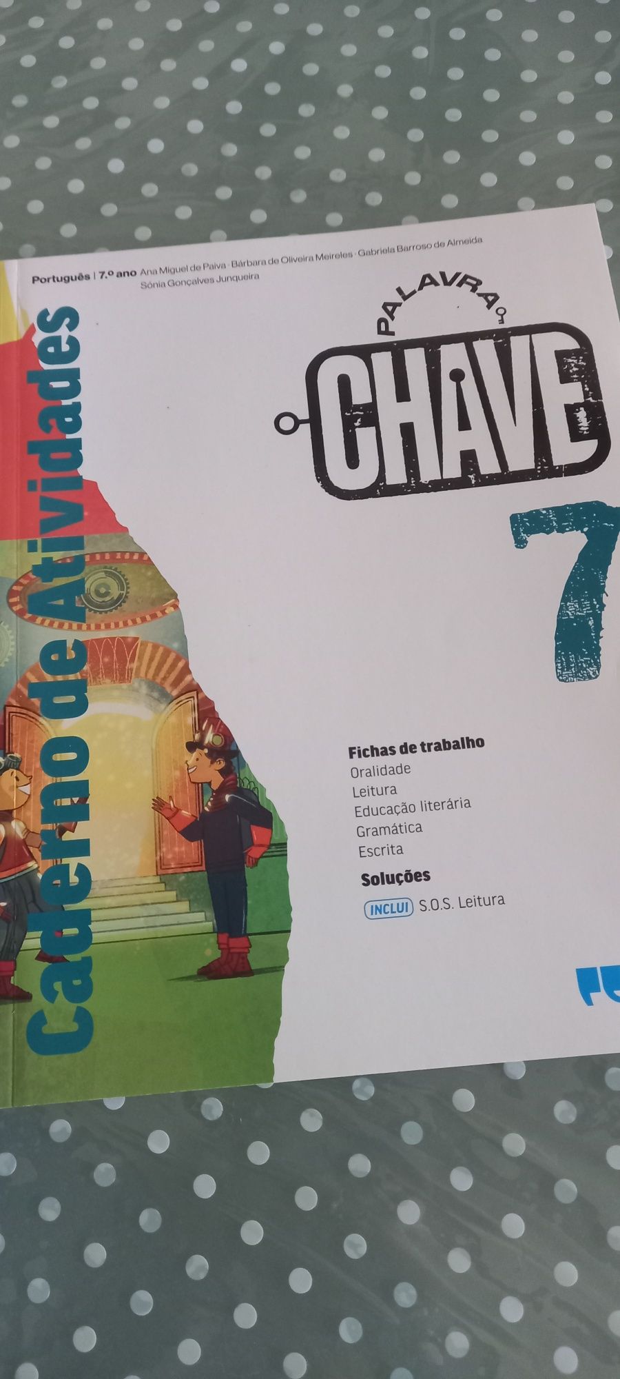 Manual "CHAVE 7" e todo o material de Apoio que se vê nas Fotos