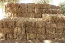 fardos de palha nova de varias qualidades