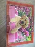 Castorland PUZZLE Labrador Puppy In Pink Box 500 elementów 9+ NOWE