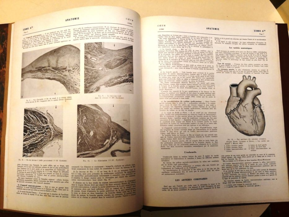 Enciclopédia médico cirúrgica francesa