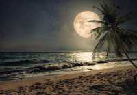 Fototapeta Księżyc Noc Plaża Woda Na Ścianę 3D Twój Rozmiar + KLEJ