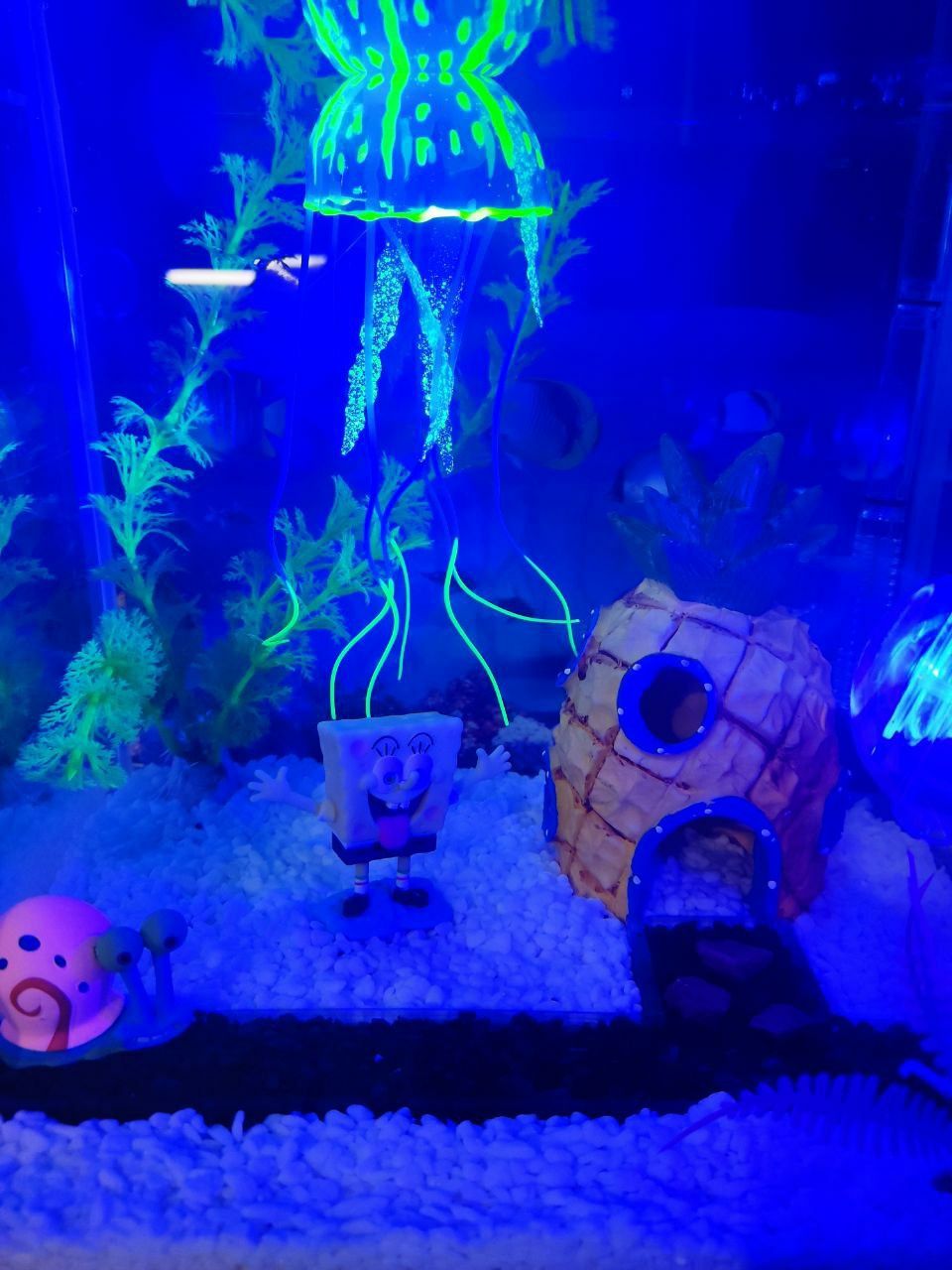 Мини аквариум в стиле Губка Боб квадратные штаны Нано аквариум