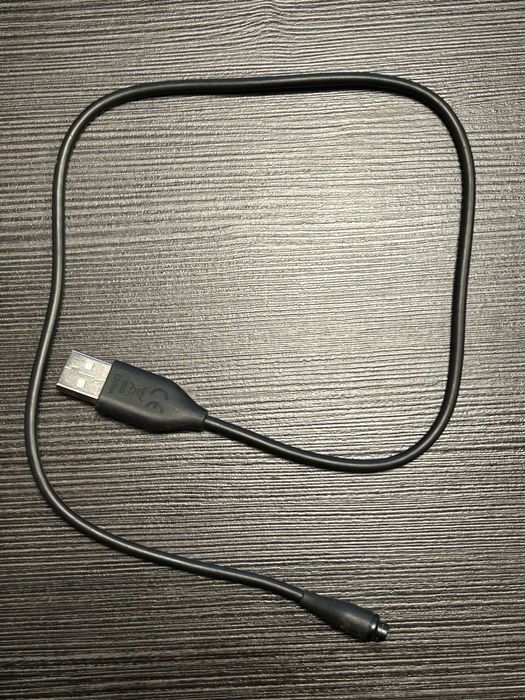 Garmin VivoActive 4s