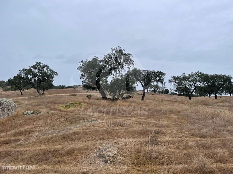 Herdade de 6,5 hectares, com 431 m² urbanos em Pavia, concelho de Mora