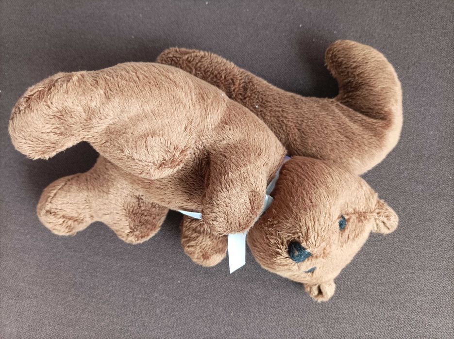 Wiewiórki maskotki pluszowe 2 sztuki Nowe