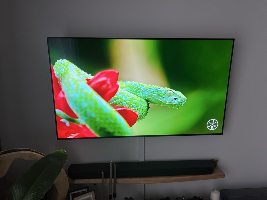 Telewizor 55 LG Oled BX