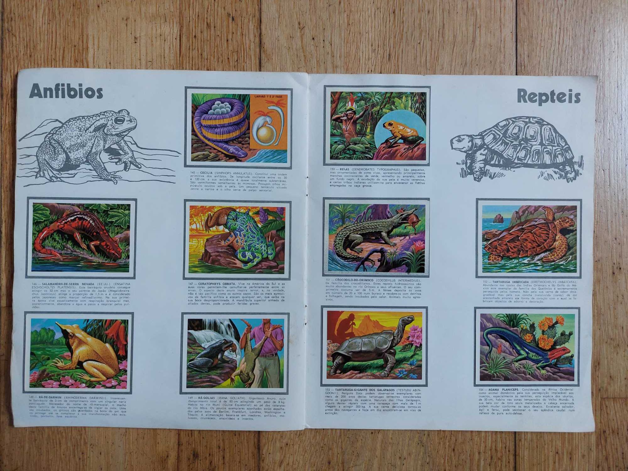 Colecção de cromos "Panorama zoológico - 1969" - Completa