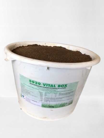 VITAL BOX - minerały, witaminy, zasuszenie, krowy mleczne, lizawka