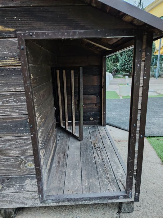 Casota de madeira para cao