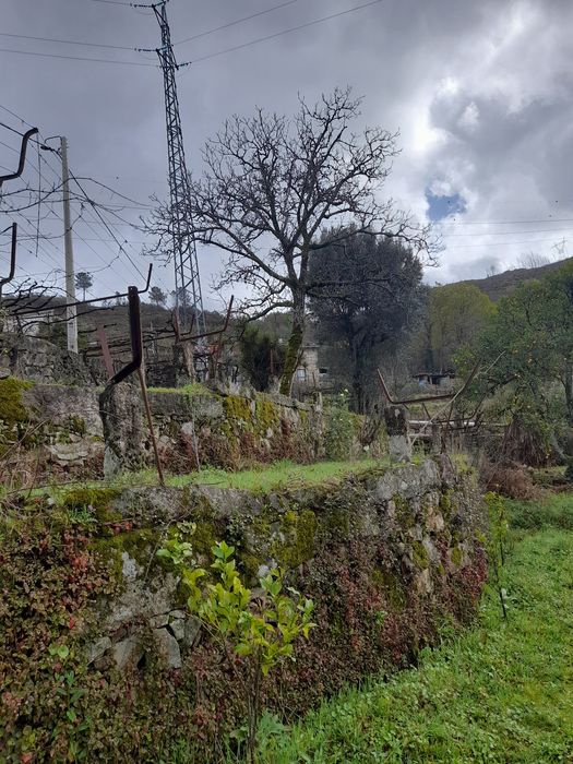 Vendono lindas vista 20000 euros
