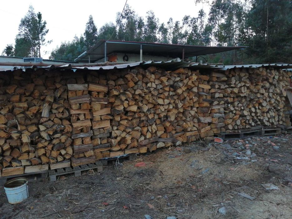 Lenha seca ao saco e ao Metro cúbico