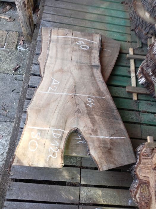 Foszty deski Brusy orzech włoski