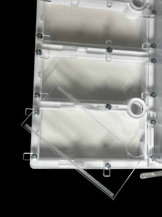 Мурашина ферма' 30×30см –  мурахи Harpegnathos | 2500 грн | нова пошта