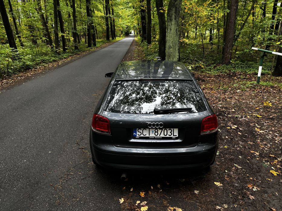 Audi A3 8p 1,6+Lpg