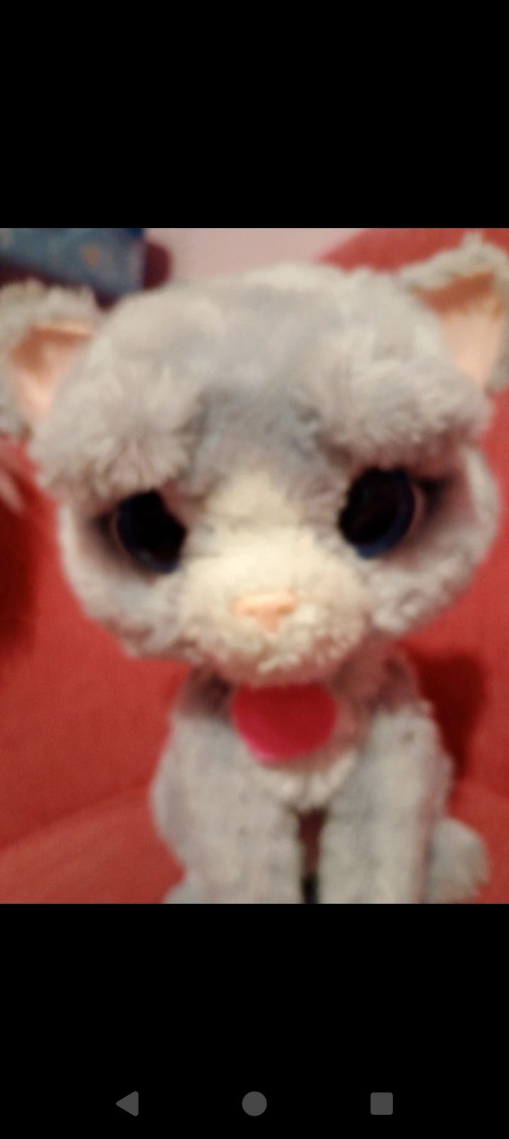 Kotek Bootsie Furreal