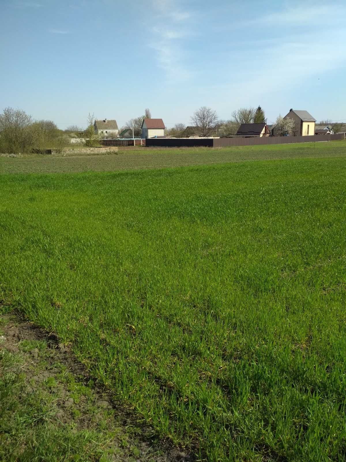 Продам  земельну ділянку в с.Трушки Білоцерківського району.