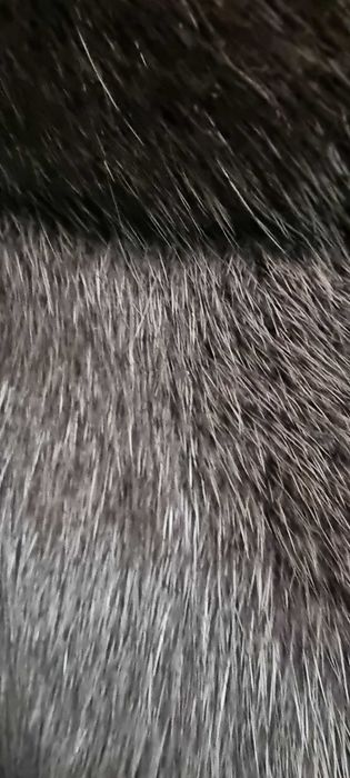 Шуба норка Marco  Vanoli