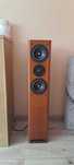 Kolumny podlogowe Asw cantius mk4