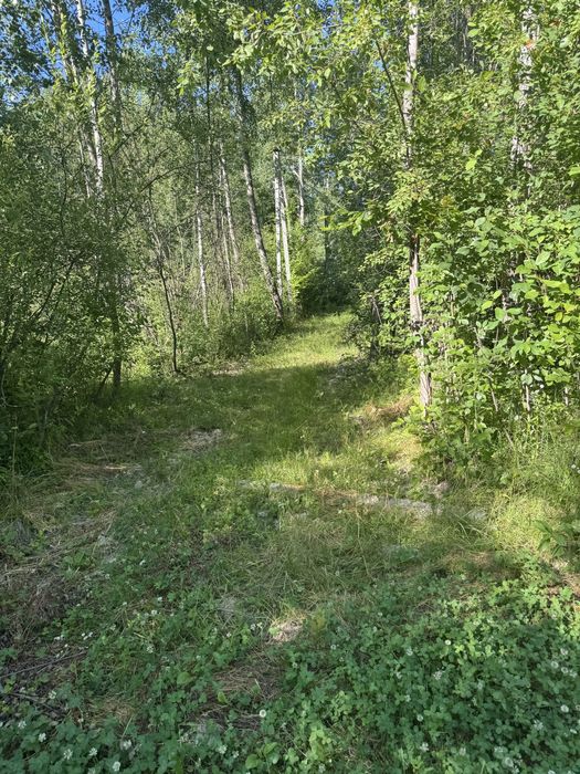 Продам земельну ділянку