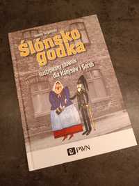 Książka Śląska godka