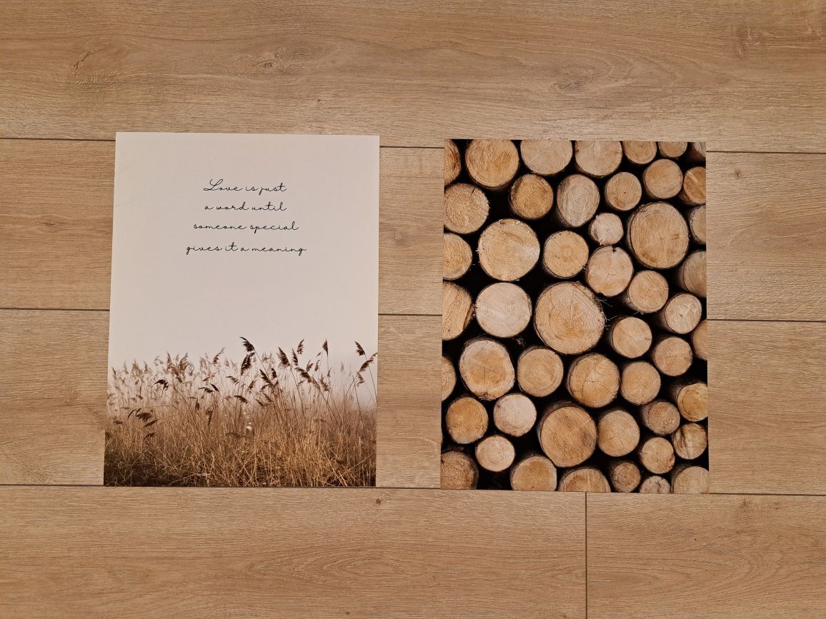 Plakat zestaw plakatów drewno trawa natura