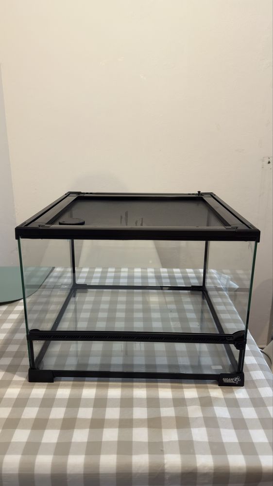 Terrário para réptil