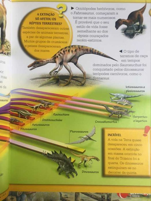 Dinossauros tudo o que precisas saber